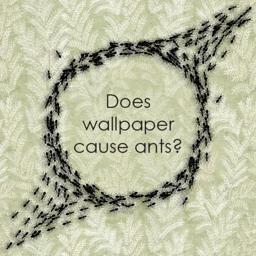 آیا کاغذ دیواری باعث ایجاد مورچه می شود؟