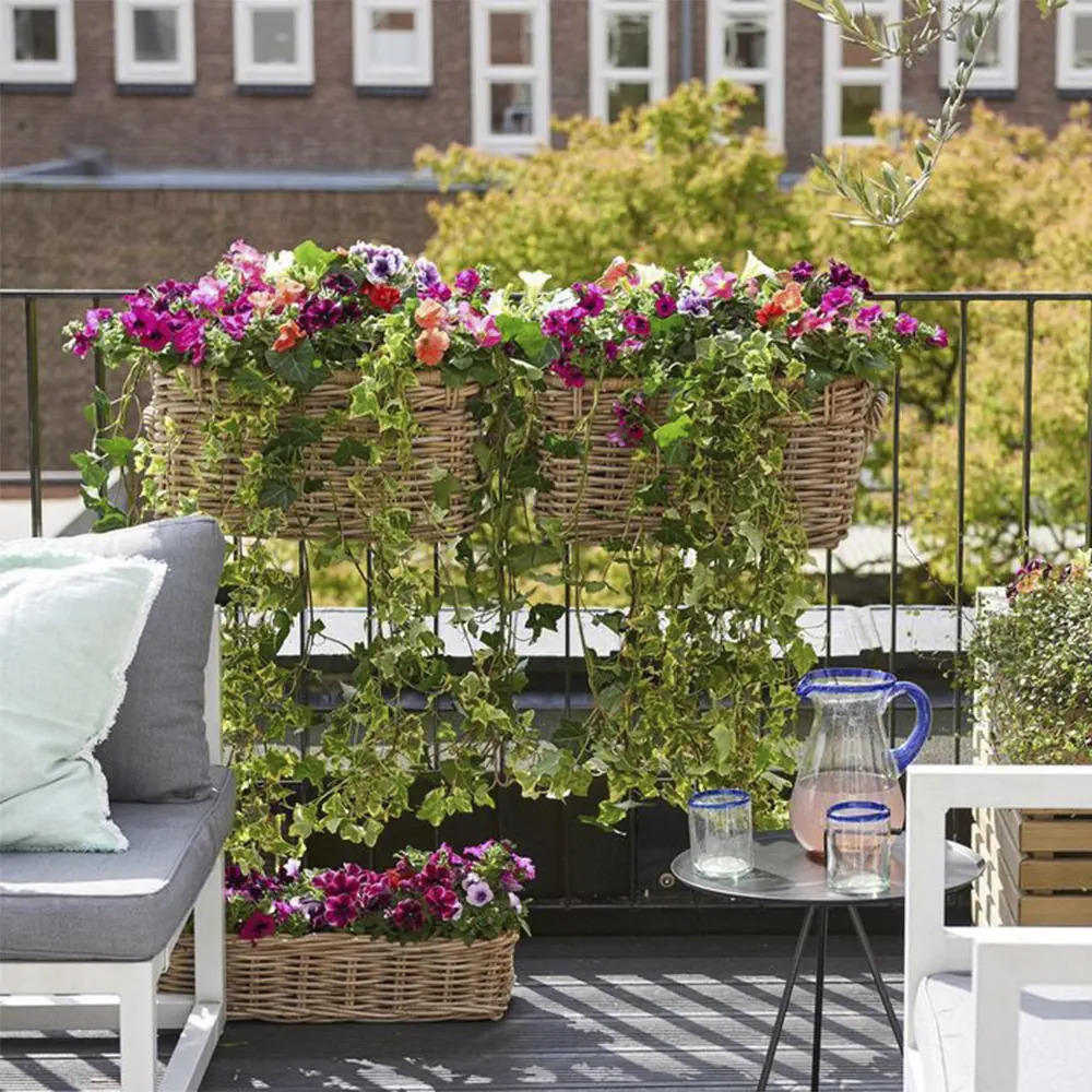 8 گیاه آپارتمانی برای بالکن