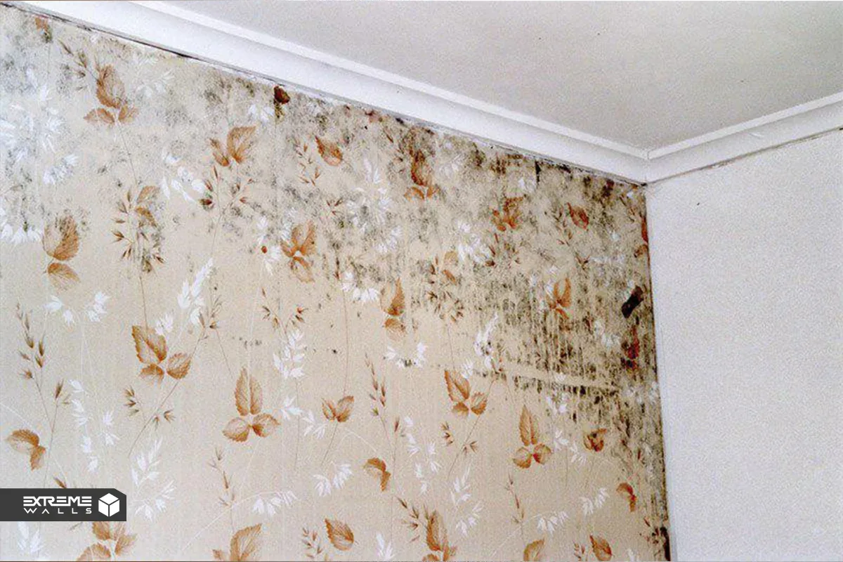 چرا بعضی کاغذ دیواریها بعد از چند ماه باد میکنند؟ راهحل رفع باد کردن کاغذ دیواری 3 کاغذ دیواری نم گرفته و باد کرده